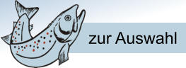 zur Auswahl