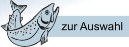 zur Auswahl